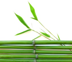 Bamboo brings peaceful and wise energy into a building